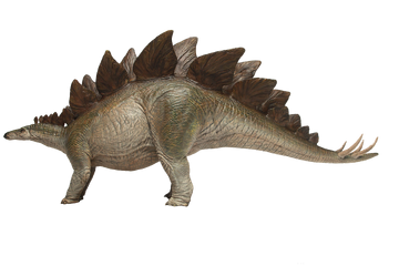 Stegosaurus dino Jurassic squad Jurassic Park Fanon Wiki Fandom
