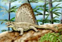 Dimetrodon2 NT