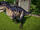 Lillie the Acrocanthosaurus