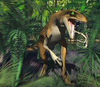 Raptor in artificial environment