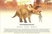 Prorosus.jpg