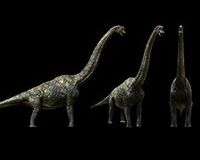 Terra nova Brachiosaur
