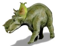 Pachyrhinosaurus BW flipped