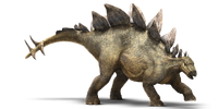 Stegosaurus-detail-header