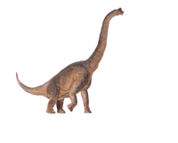 Brachiosaurus 3