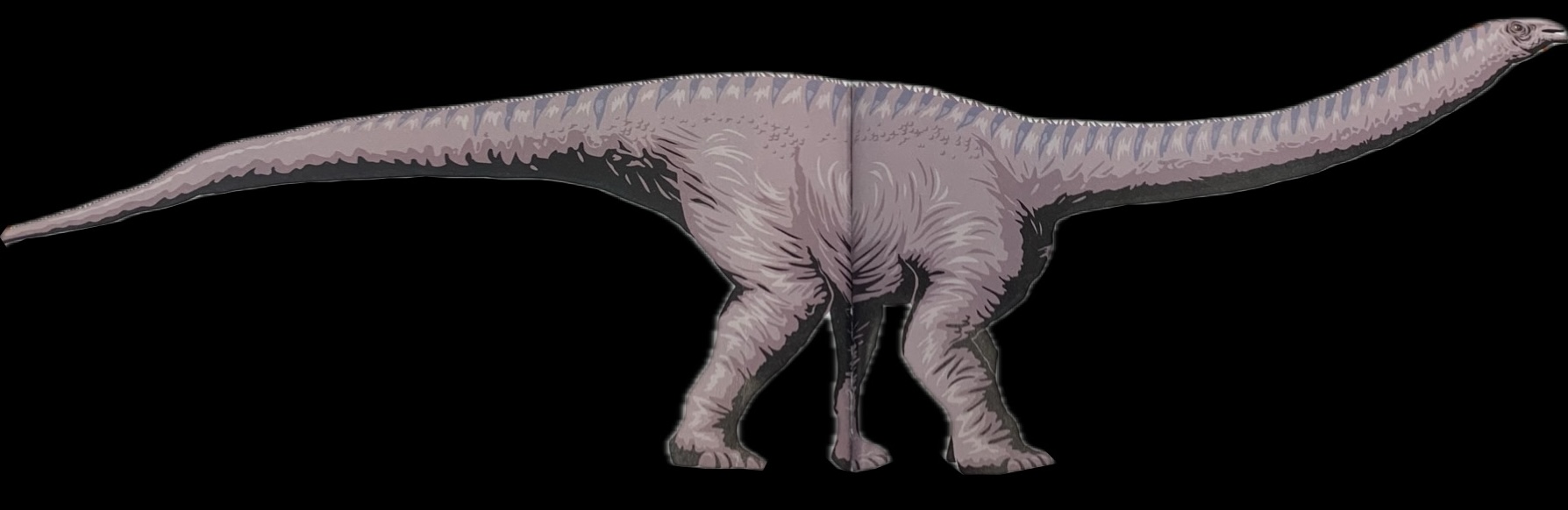 Mamenchisaurus (IV) | Jurassic Park Fanon Wiki | Fandom