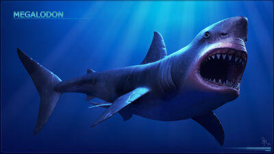 Megalodon