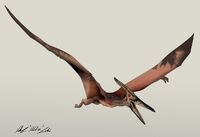 JP3 Pteranodon by Nikorex