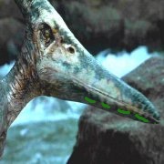 Pteranodonjp