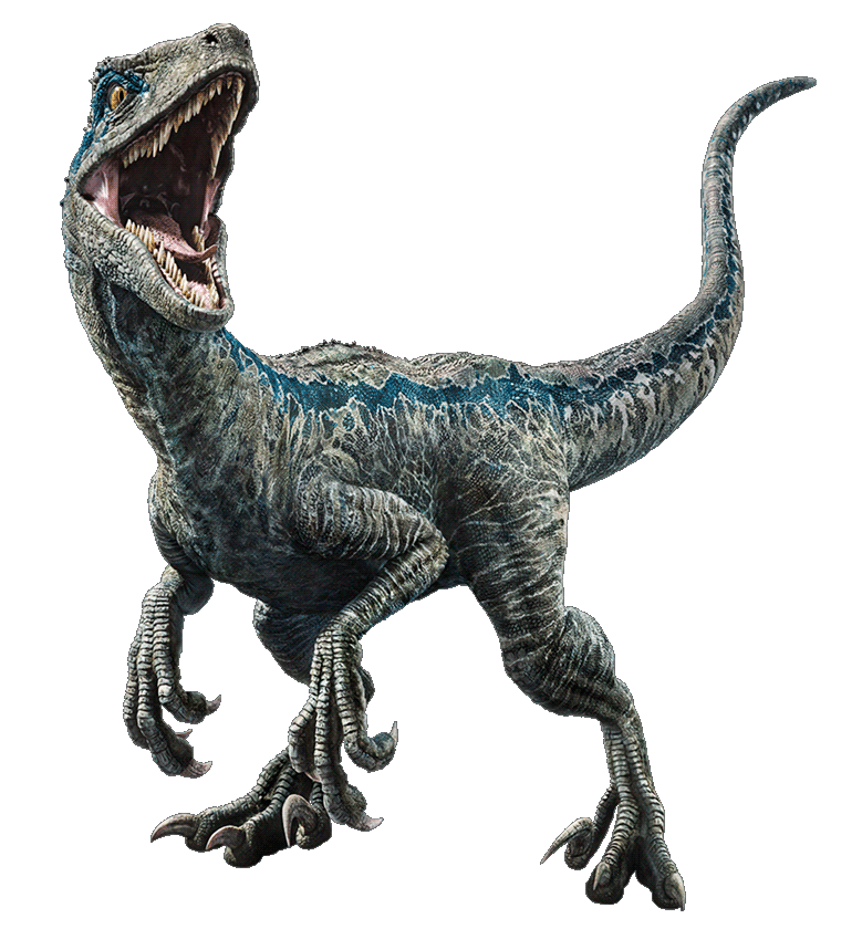 Blue The Velociraptor Jwd Jurassic Park Fanon Wiki Fandom Blue The Velociraptor Jwd Jurassic Park Fanon Wiki Fandom