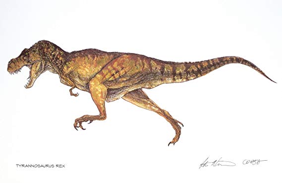 Tyrannosaurus Rex | Jurassic Park Fanon Wiki | Fandom