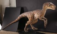 Jurassic Park Velociraptor Maquette