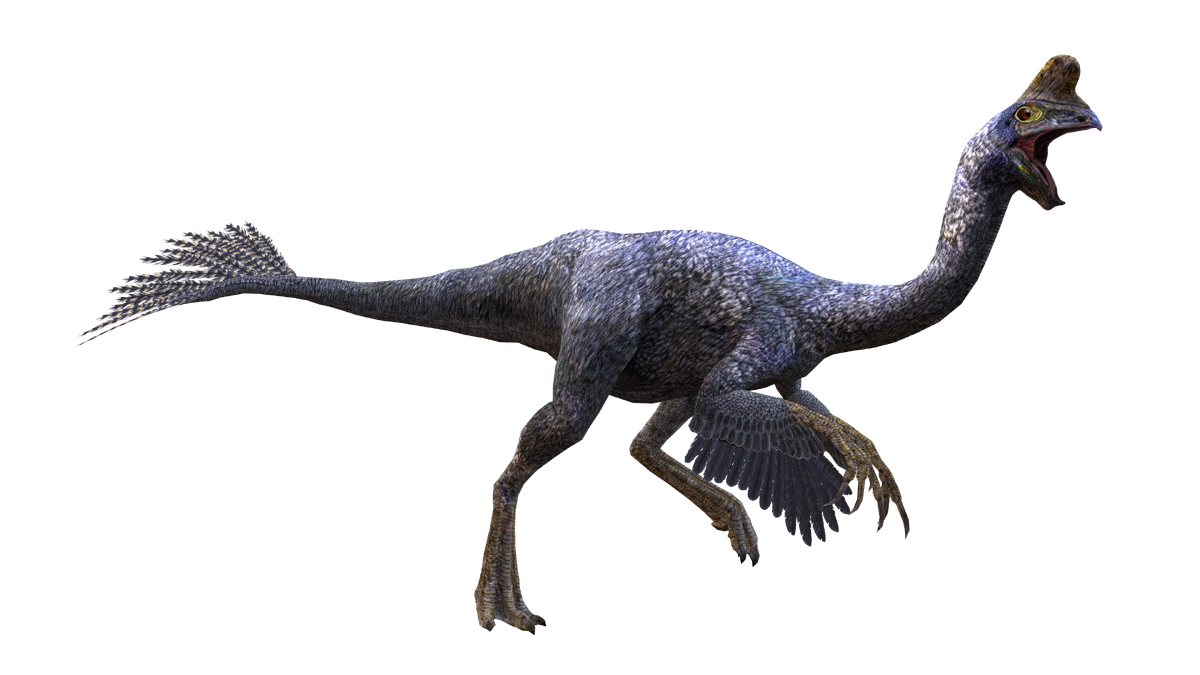 Oviraptor (DinoWorld U.S.A.) | Jurassic Park Fanon Wiki | Fandom