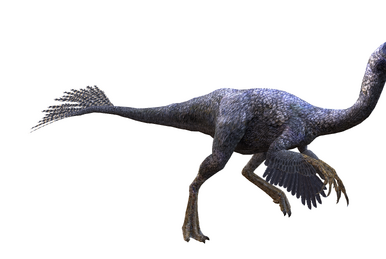 Pteranodon (DinoWorld U.S.A.), Jurassic Park Fanon Wiki