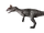 Cryolophosaurus (MTVerse)