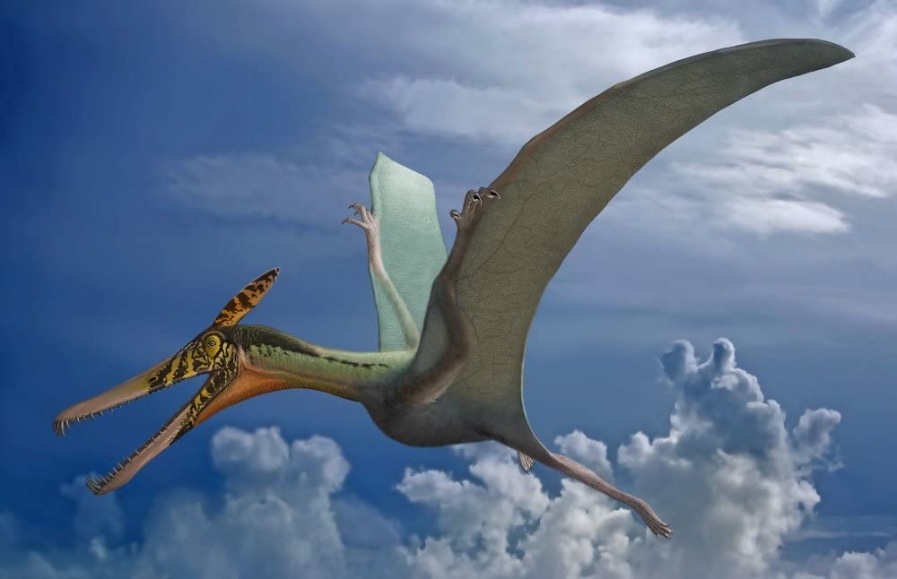 Pteranodon (DinoWorld U.S.A.), Jurassic Park Fanon Wiki