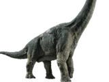 Brachiosaurus (IV)