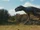 Albertosaurus (Dinosaur apocalypse)