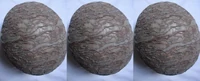 Dinosaur eggs