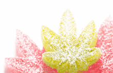 Marigwanâ infused gummies
