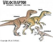 NublarRaptor