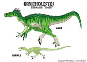 Ornitholestes