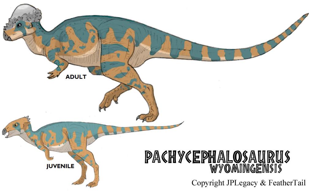 Pachycephalosaurus Wyomingensis Jpl Live The Legend Wiki Fandom