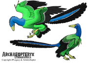 Archaeopteryx