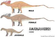 Amargasaurus