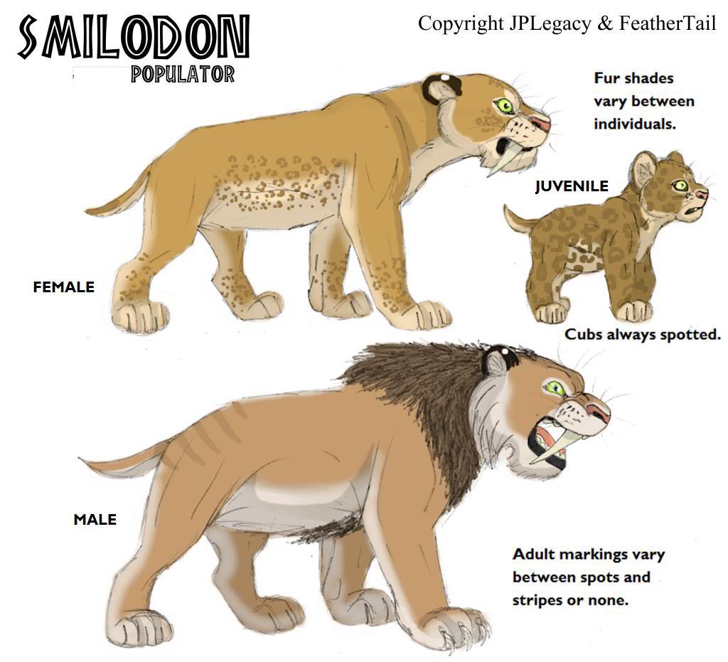 smilodon fatalis vs smilodon populator