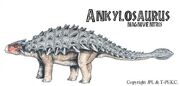 Ankylosaurus