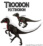 Troodon