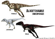 Albertosaurus