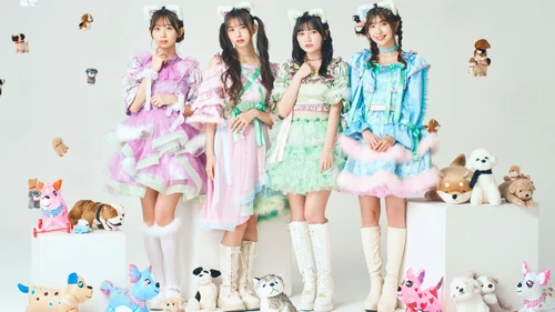 Promoting Suman, Inu (December 2022)