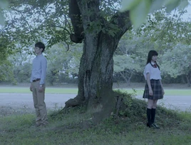 PartitionLove DigiCover