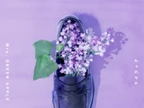 Lilac (Mrs. GREEN APPLE)