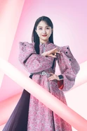 Promoting Ichigo Ichie (2023)