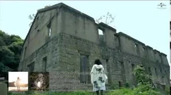 Tokohana Jpop Wiki Fandom