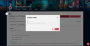 Add Video Window