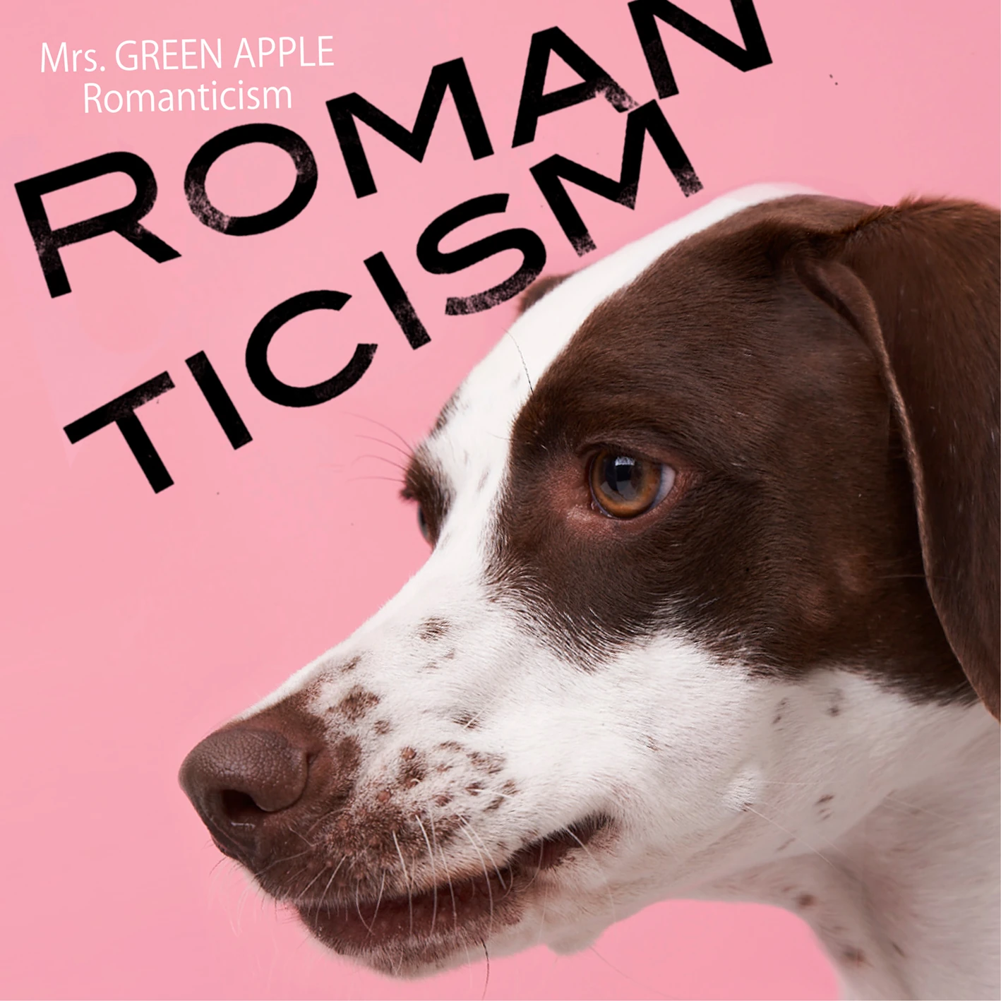 Mrs. GREEN APPLE ROMANTICISM 2枚組 Romanticism | Jpop Wiki | Fandom