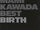 MAMI KAWADA BEST BIRTH