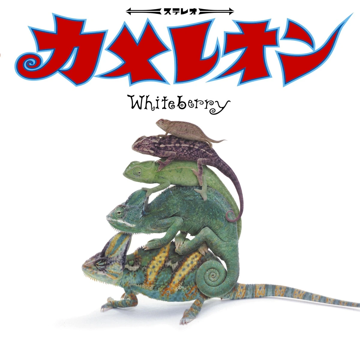 Chameleon | Jpop Wiki | Fandom