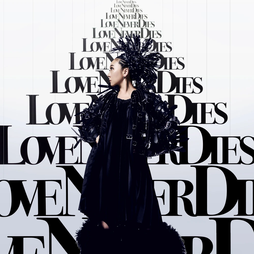 MISIA マグネット LOVE NEVER DIES LOVE NEVER DIES MISIA マグネット 10個コンプセット LOVE NEVER