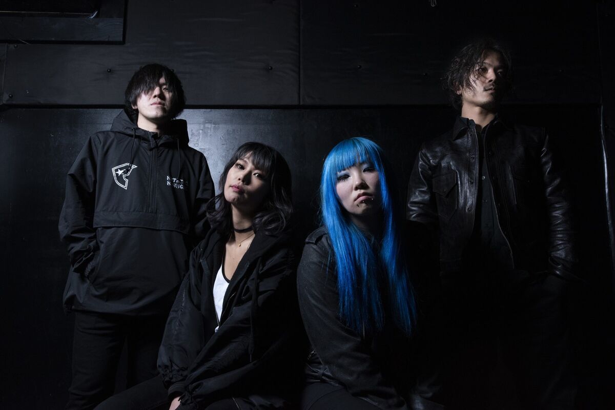 FAKE ISLAND | Jpop Wiki | Fandom