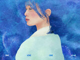 Hoshi no Shoumei
