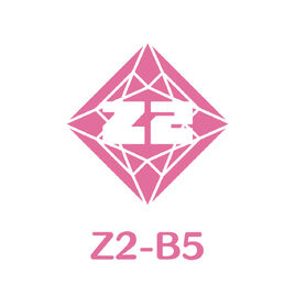 Z2-B5 Logo