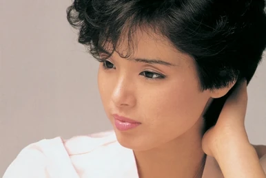 石坂智子 idol miracle bible series Idol Miracle Bible Series | Jpop Wiki | Fandom