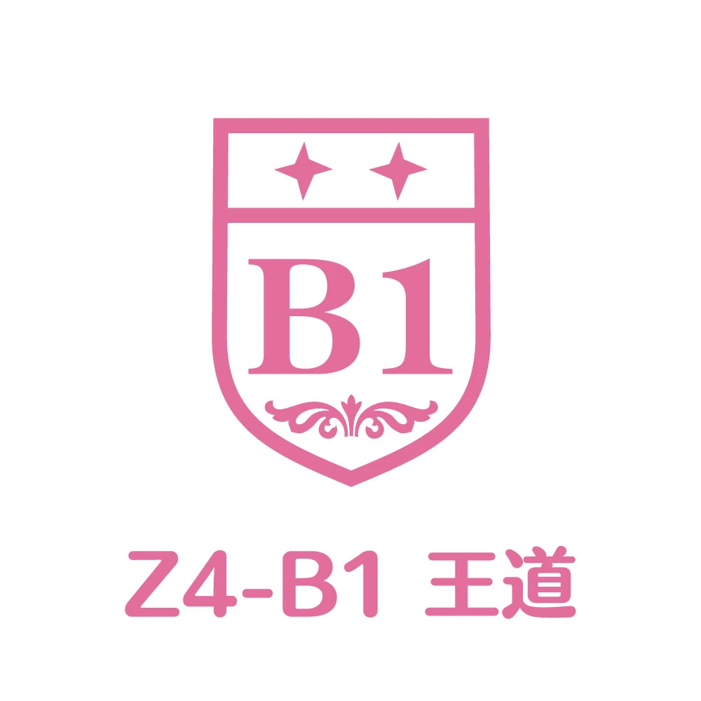 Z4-B1 | Jpop Wiki | Fandom