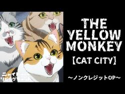 CAT CITY | Jpop Wiki | Fandom