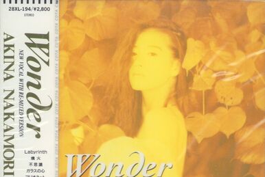 邦楽 AKINA NAKAMORI Collection 1982-1991 Play AKINA BOX 1982-1991 by Akina Nakamori on Amazon Music